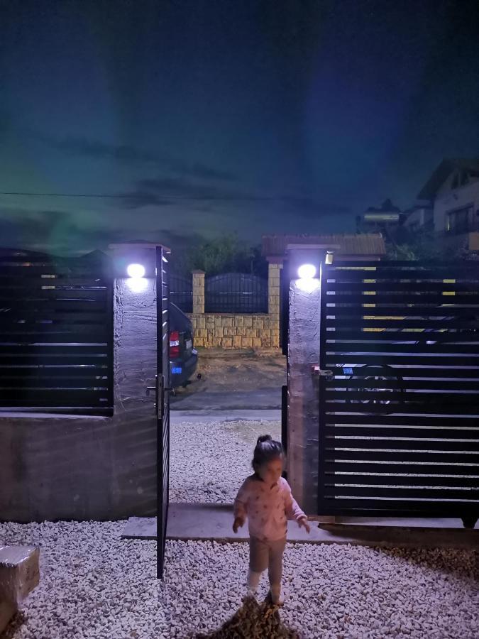 Casutele Amaliei Hotel Corbu  Kültér fotó